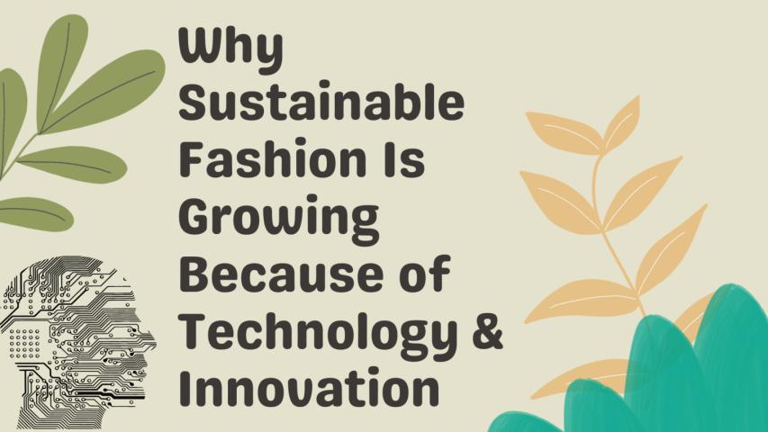 Why Sustainable Fashion Is Growing Because of Technology & Innovation - PromoteProject | Startup Growth Platform