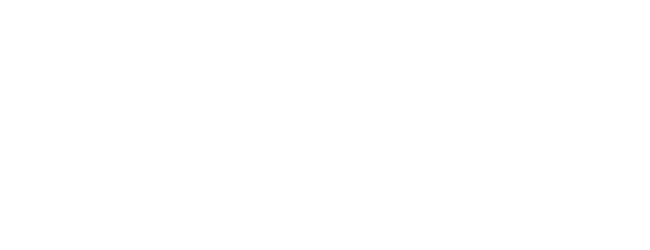 Digitizing and Vector Conversion Services