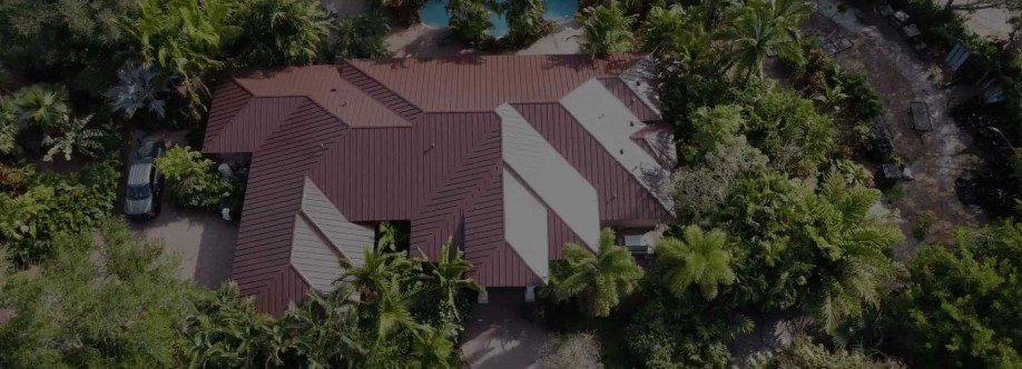 Roof Giants Cover Image