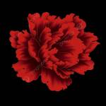 Alex harmozi Profile Picture