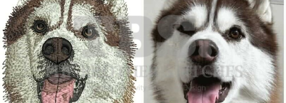 The Brother Stitches Cover Image