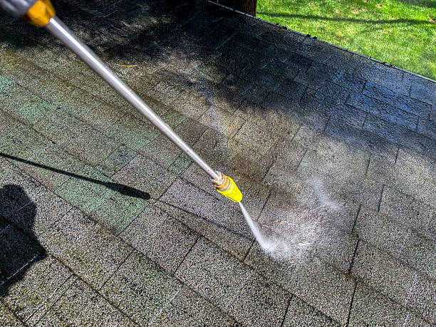 How Can Pressure Washing Service Save Your Home Exterior?