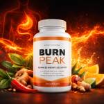 Burn Peak review Profile Picture