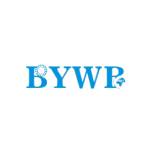 BYWB Bearing Profile Picture