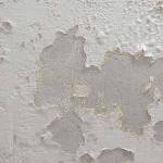 Sarah David Profile Picture