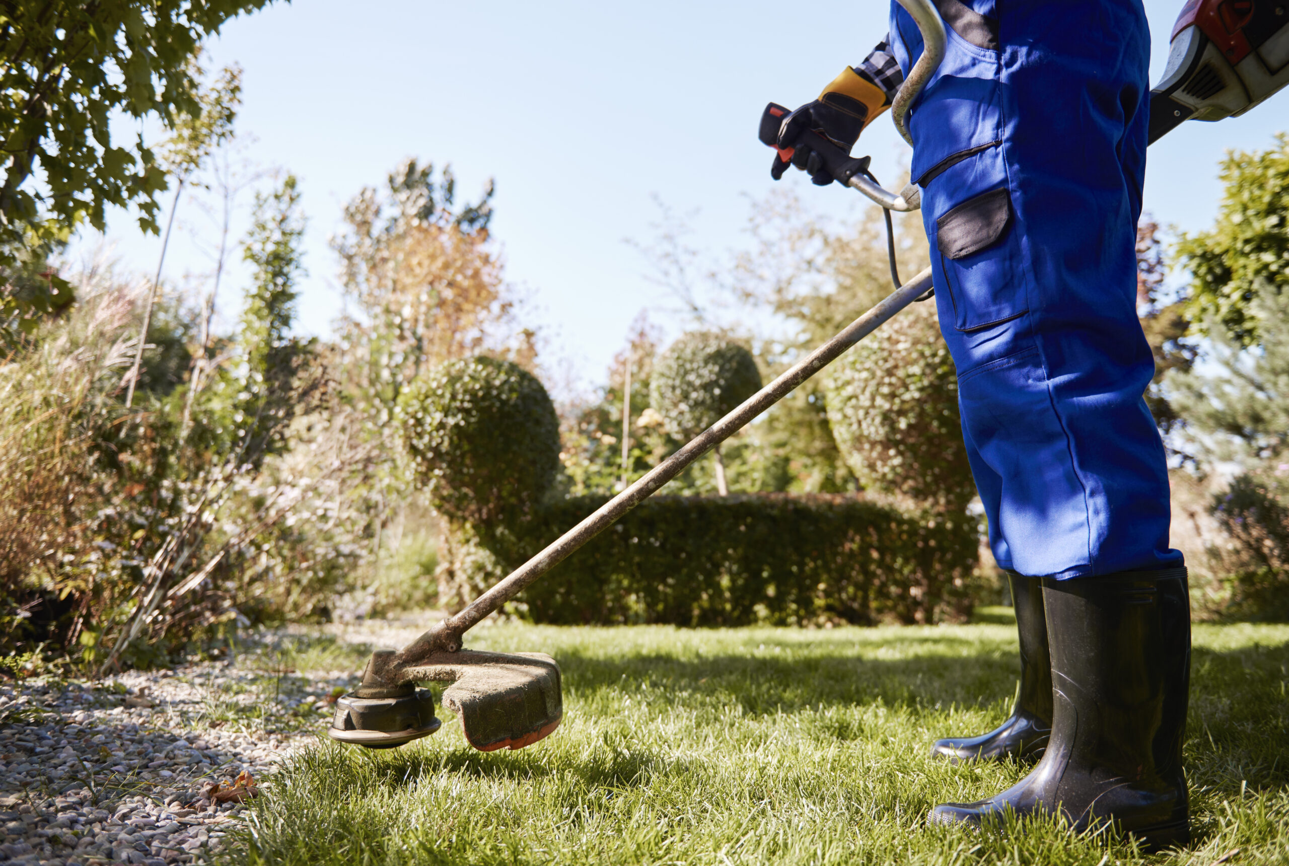 Get a Green Lawn in Lethbridge Without Overspending