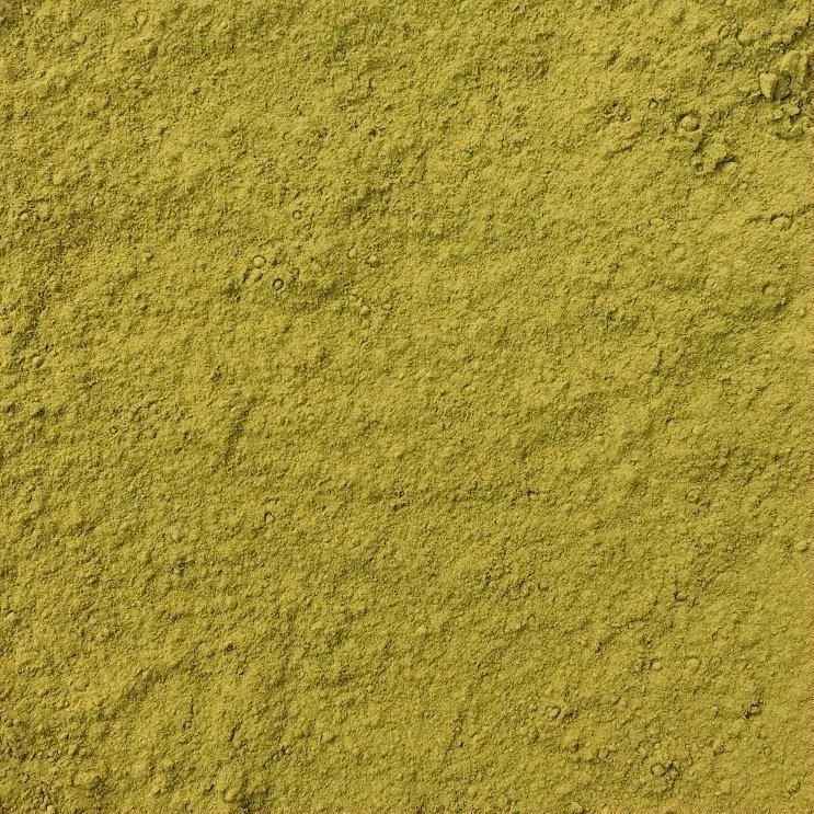 Organic Kale Powder - OrganicPoint