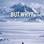 John Smith Profile Picture