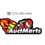 Auctmarts Fairings