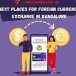 vaayuinternational forex