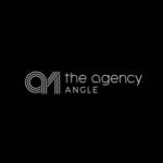 Agency Angle