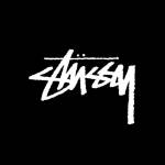 Stussy poland