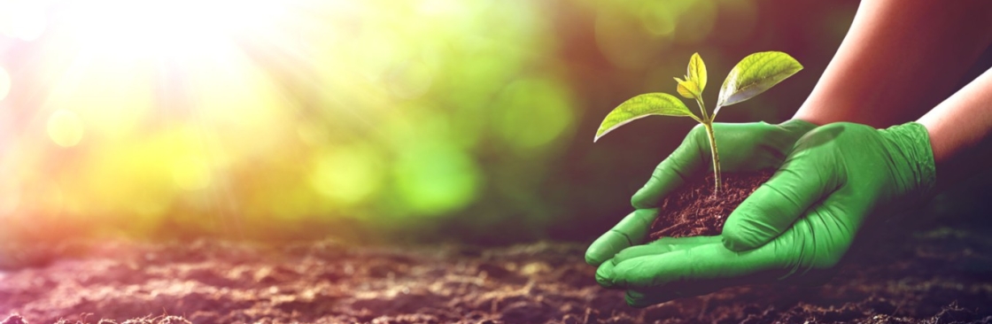 MDS Associates Inc Cover Image