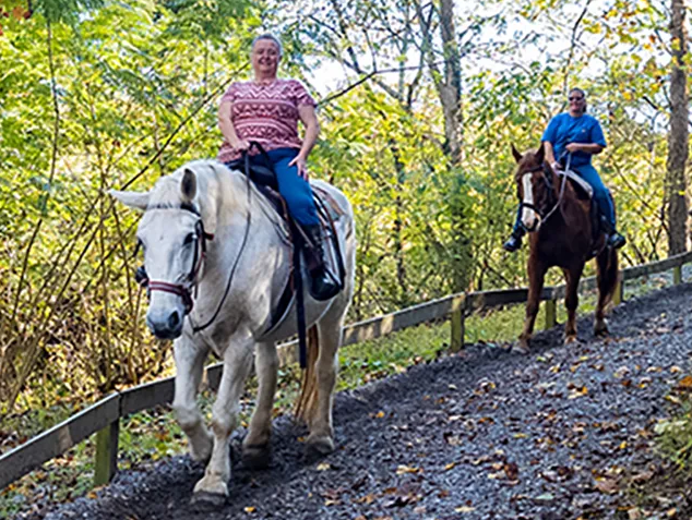 Best Horseback Riding Experiences in Gatlinburg Today | Hayer