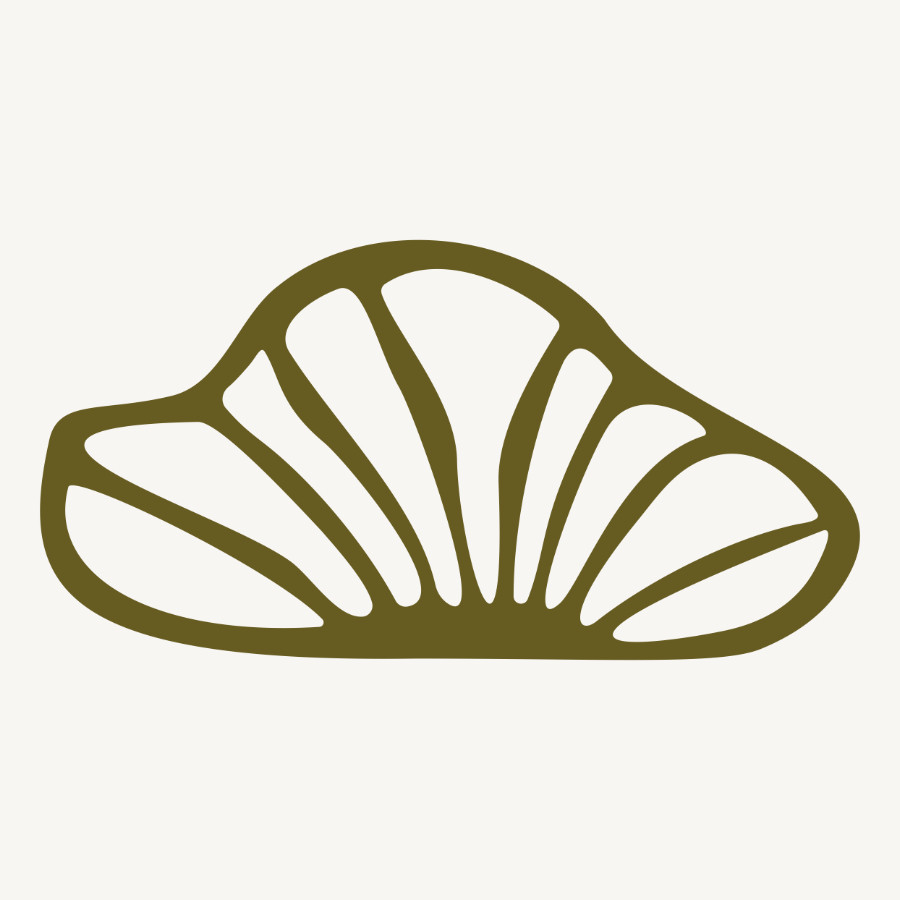 Premium Mushroom Capsules & Mood Support supplements