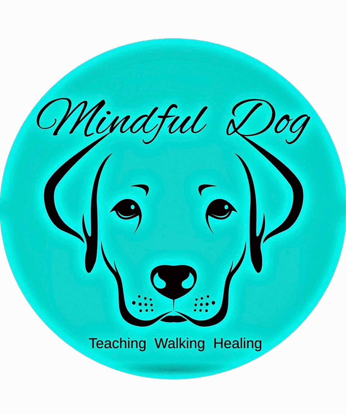 Expert Dog Behaviourist Services in North Wales & Wirral