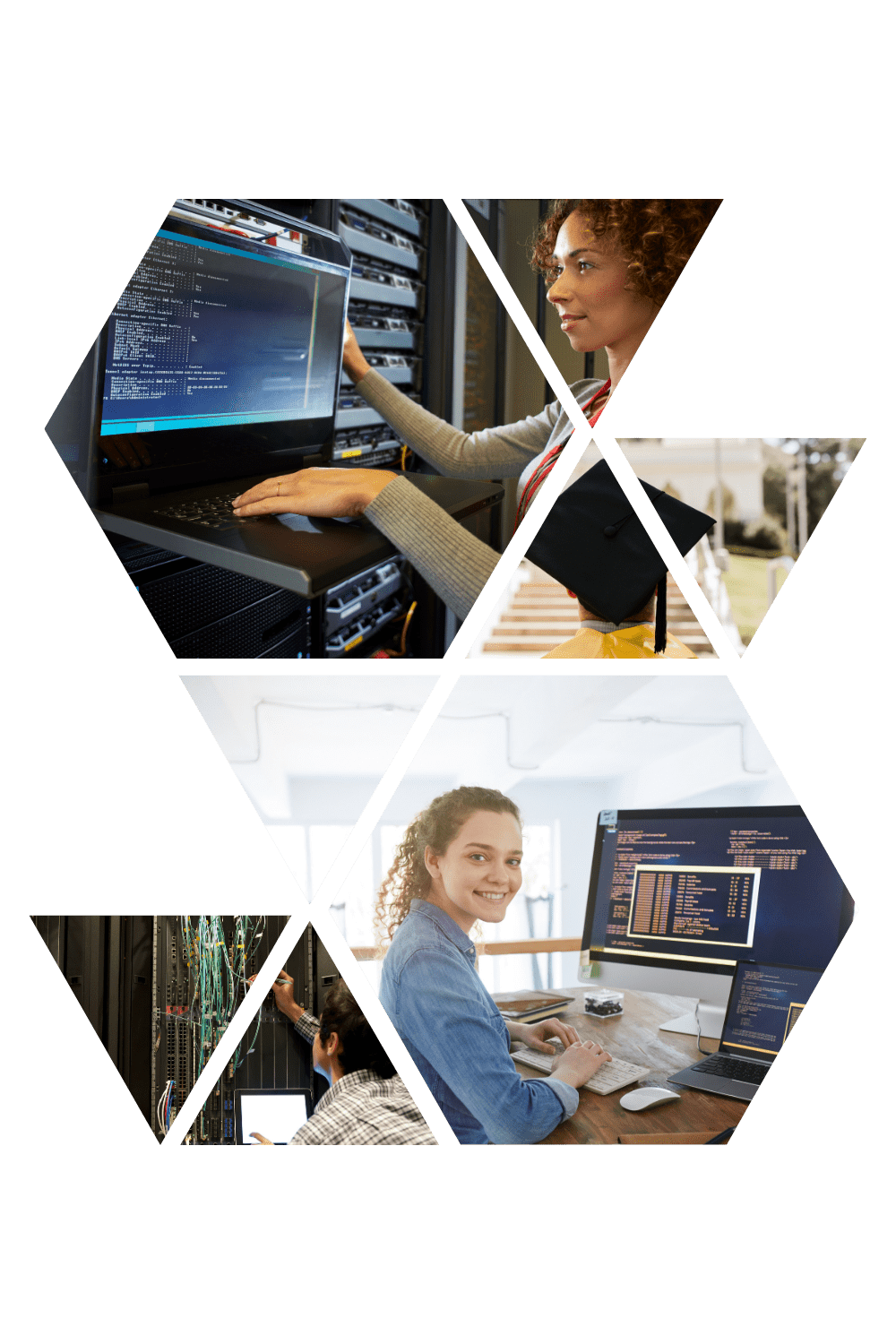 Bachelor of Science in Information Technology - Paris American International University