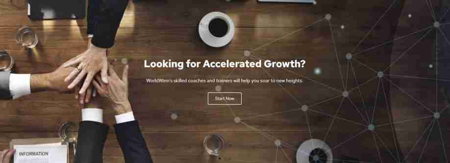 WorldWinn Consulting